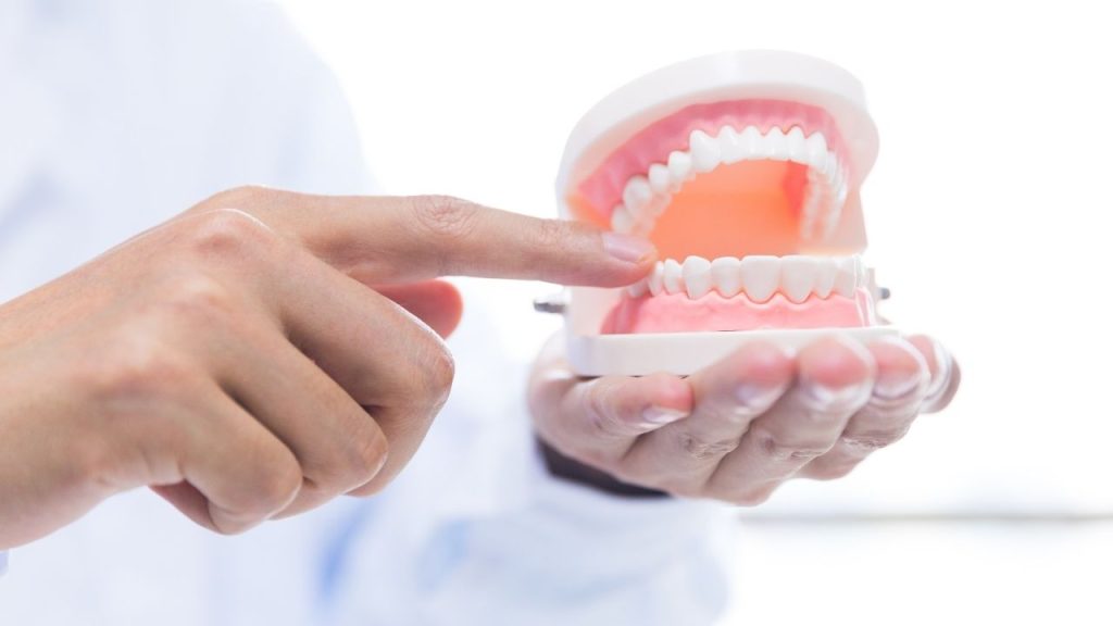 How Do Full Dentures Work