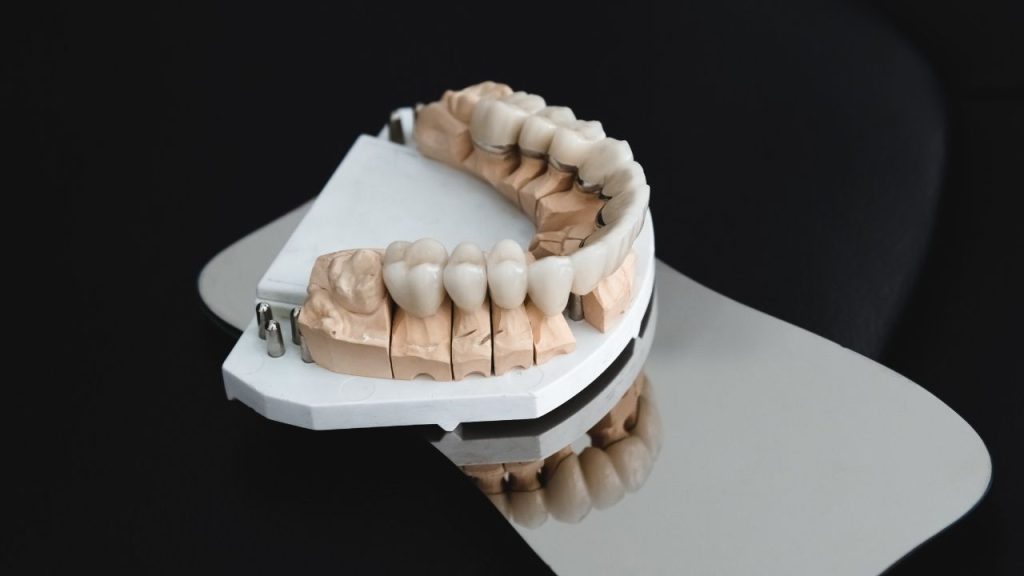 Zirconium Dental Crowns Model